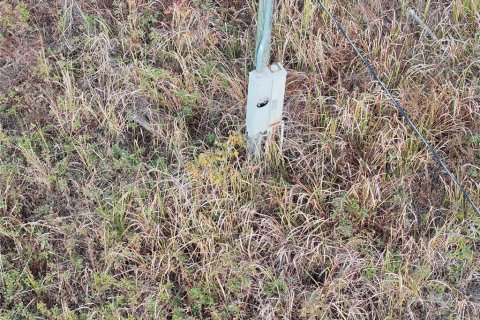 Land in Arcadia, Florida № 2108716 - photo 15