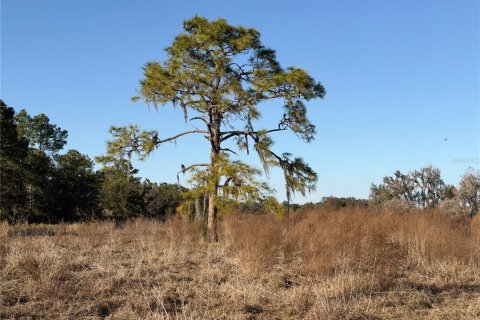 Land in Arcadia, Florida № 2108716 - photo 6