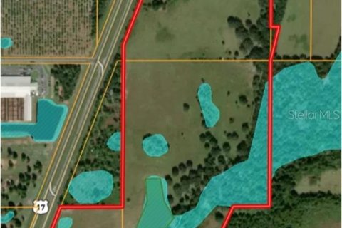 Land in Arcadia, Florida № 2108716 - photo 25