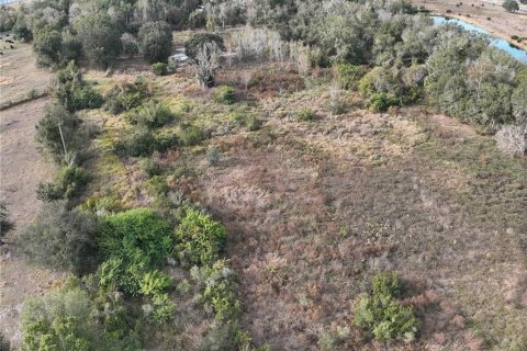 Land in Arcadia, Florida № 2108716 - photo 22