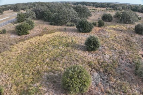 Land in Arcadia, Florida № 2108716 - photo 18