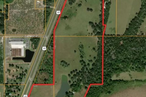 Land in Arcadia, Florida № 2108716 - photo 24