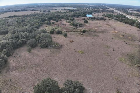 Land in Arcadia, Florida № 2108716 - photo 19