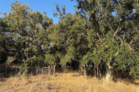 Land in Arcadia, Florida № 2108716 - photo 13