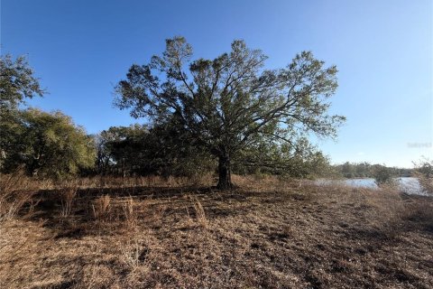 Land in Arcadia, Florida № 2108716 - photo 10