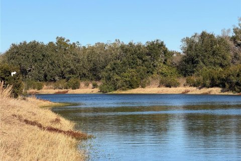 Land in Arcadia, Florida № 2108716 - photo 3