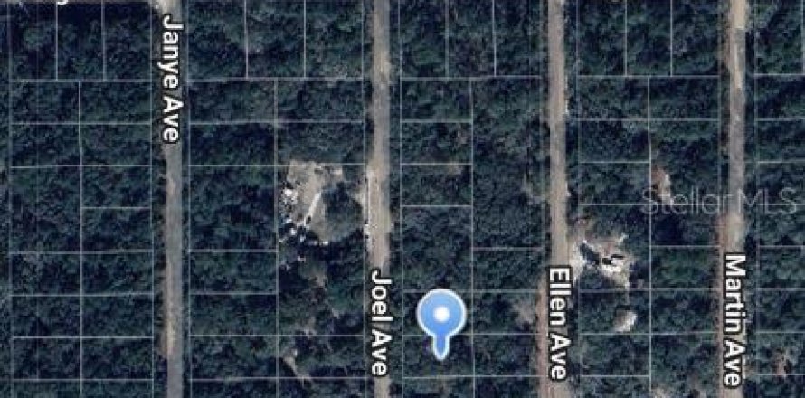 Terrain à Interlachen, Floride № 2223904