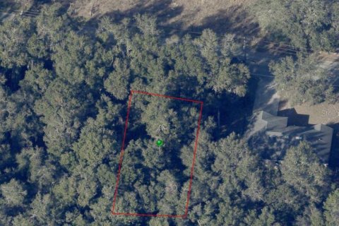 Land in De Leon Springs, Florida № 2222070 - photo 6