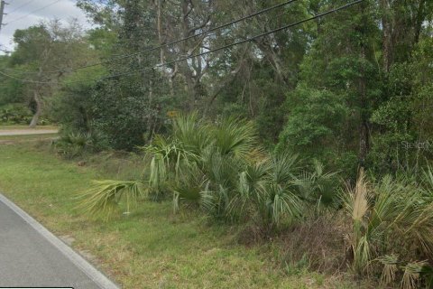Land in De Leon Springs, Florida № 2222070 - photo 3