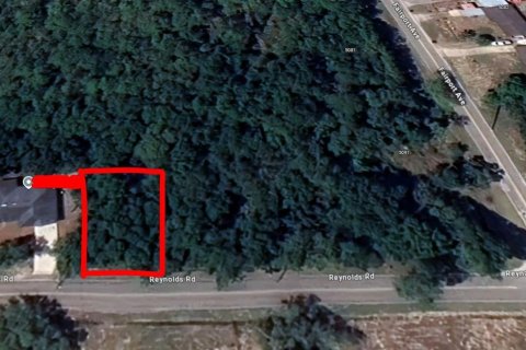 Land in De Leon Springs, Florida № 2222070 - photo 5