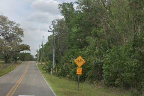 Land in De Leon Springs, Florida № 2222070 - photo 4