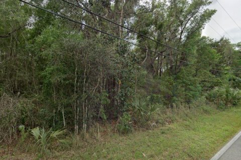 Terreno en De Leon Springs, Florida № 2222070