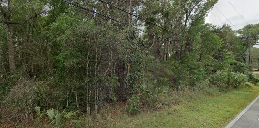 Land in De Leon Springs, Florida № 2222070