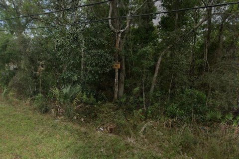 Land in De Leon Springs, Florida № 2222070 - photo 2