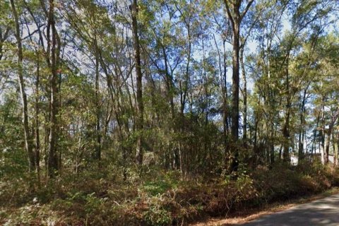 Terrain à vendre à Tallahassee, Floride № 2209578 - photo 2