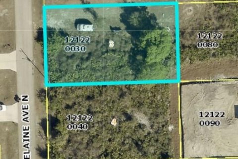 Land in Lehigh Acres, Florida № 2377983 - photo 4