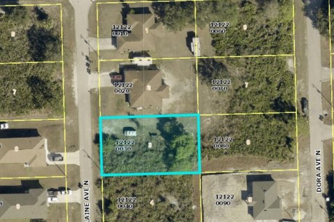 Land in Lehigh Acres, Florida № 2377983 - photo 5