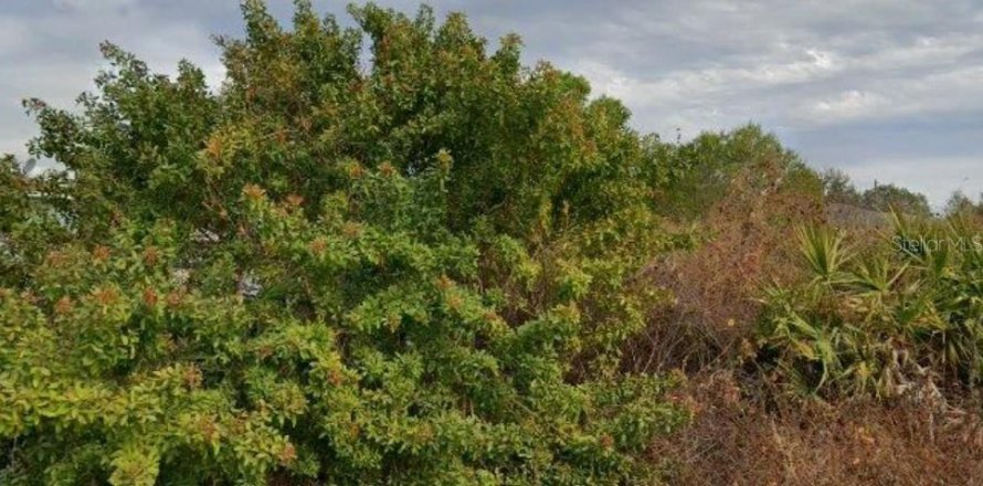 Land in Lehigh Acres, Florida № 2377983