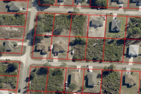 Land in Lehigh Acres, Florida № 2377983 - photo 7
