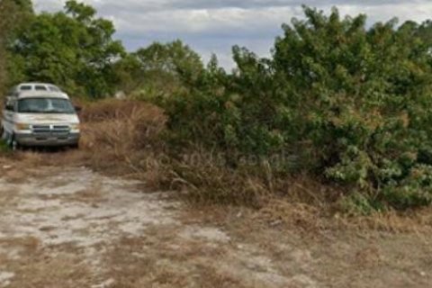 Land in Lehigh Acres, Florida № 2377983 - photo 3