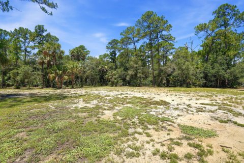 Immobilier commercial à vendre à Port St. Lucie, Floride № 2254419 - photo 16