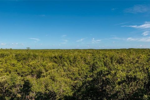 Condo in Saint Petersburg, Florida, 3 bedrooms  № 1911904 - photo 12
