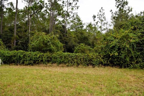 Villa ou maison à vendre à Deltona, Floride: 4 chambres, 216.09 m2 № 2425831 - photo 21