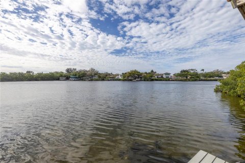 Land in Saint Petersburg, Florida № 1558196 - photo 12