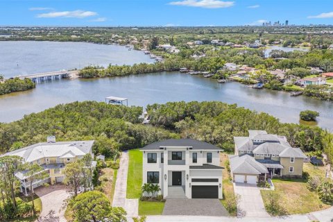 Land in Saint Petersburg, Florida № 1558196 - photo 4