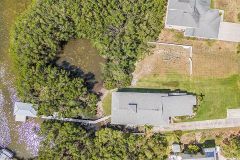 Land in Saint Petersburg, Florida № 1558196 - photo 15