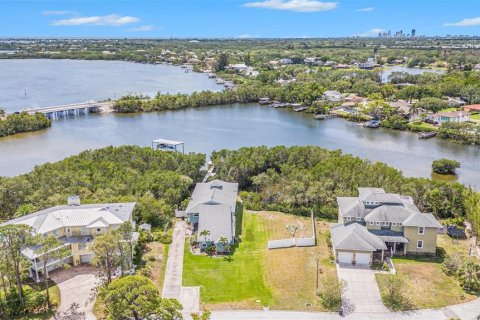 Land in Saint Petersburg, Florida № 1558196 - photo 17