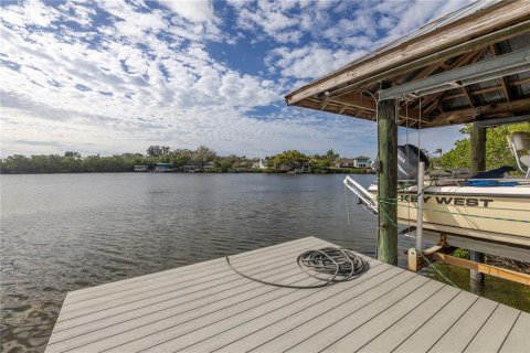 Land in Saint Petersburg, Florida № 1558196 - photo 11