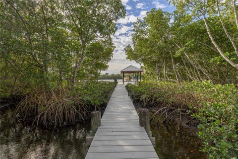 Land in Saint Petersburg, Florida № 1558196 - photo 8