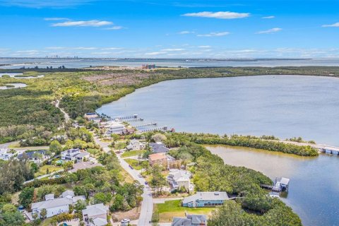 Land in Saint Petersburg, Florida № 1558196 - photo 20
