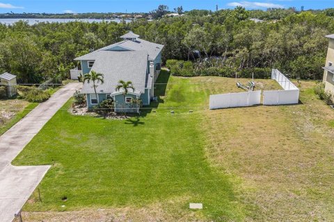 Land in Saint Petersburg, Florida № 1558196 - photo 2