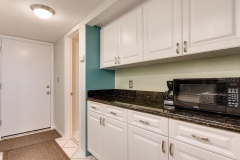 Condo in Saint Petersburg, Florida, 1 bedroom  № 2239095 - photo 4