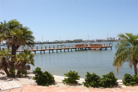 Condo in Saint Petersburg, Florida, 1 bedroom  № 2239095 - photo 13