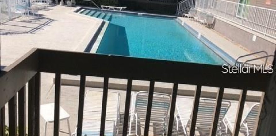 Condo in Tampa, Florida, 1 bedroom  № 2231542