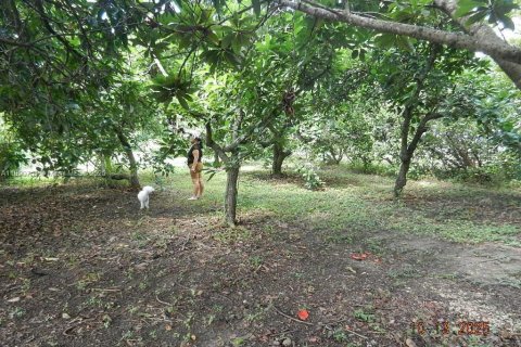 House in Homestead, Florida 4 bedrooms, 276.11 sq.m. № 2058471 - photo 21