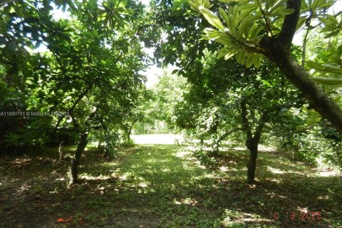 House in Homestead, Florida 4 bedrooms, 276.11 sq.m. № 2058471 - photo 20