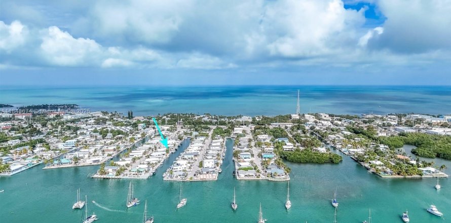 Villa ou maison à Marathon, Floride 3 chambres, 122.63 m2 № 2020546