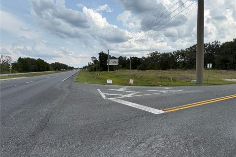 Land in Leesburg, Florida № 1750976 - photo 2
