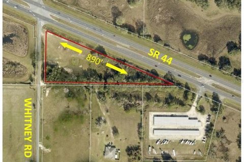 Land in Leesburg, Florida № 1750976 - photo 1