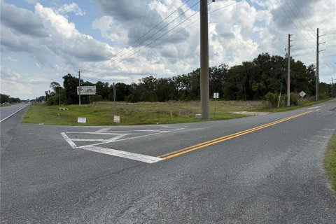 Land in Leesburg, Florida № 1750976 - photo 3