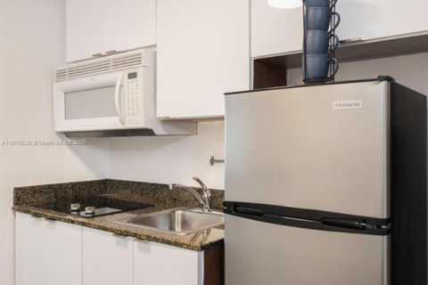 Copropriété à louer à Miami, Floride: 39.48 m2 № 1942971 - photo 11