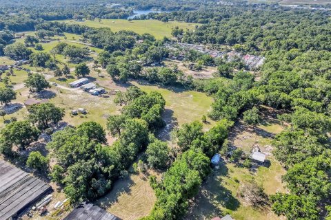Land in Mount Dora, Florida № 1841893 - photo 10