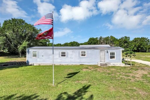 Land in Mount Dora, Florida № 1841893 - photo 26