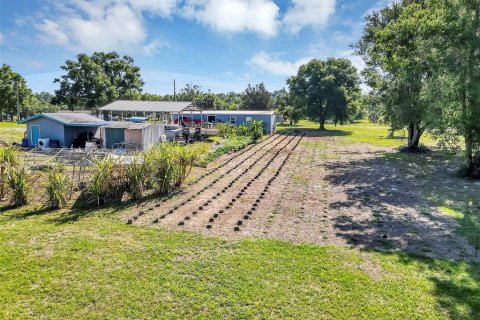 Land in Mount Dora, Florida № 1841893 - photo 5