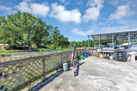 Land in Mount Dora, Florida № 1841893 - photo 24