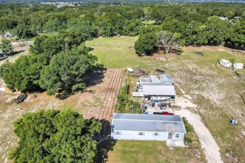 Land in Mount Dora, Florida № 1841893 - photo 12